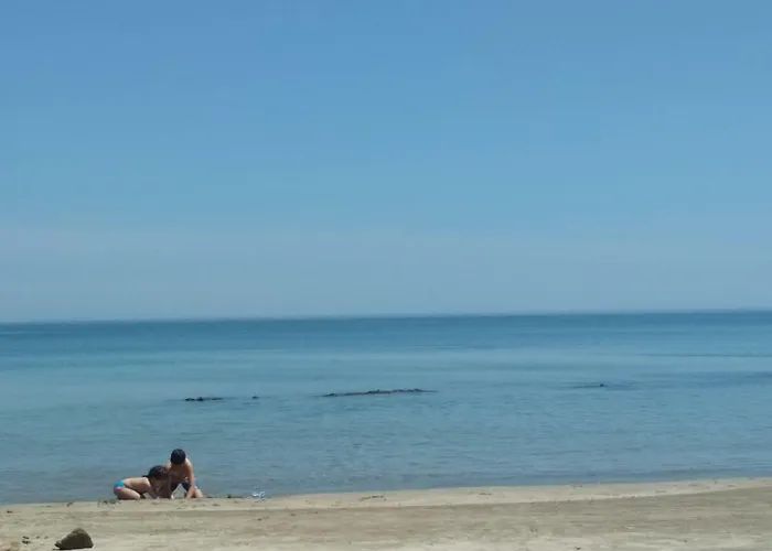 Parus 4 Lägenhet Pomorie